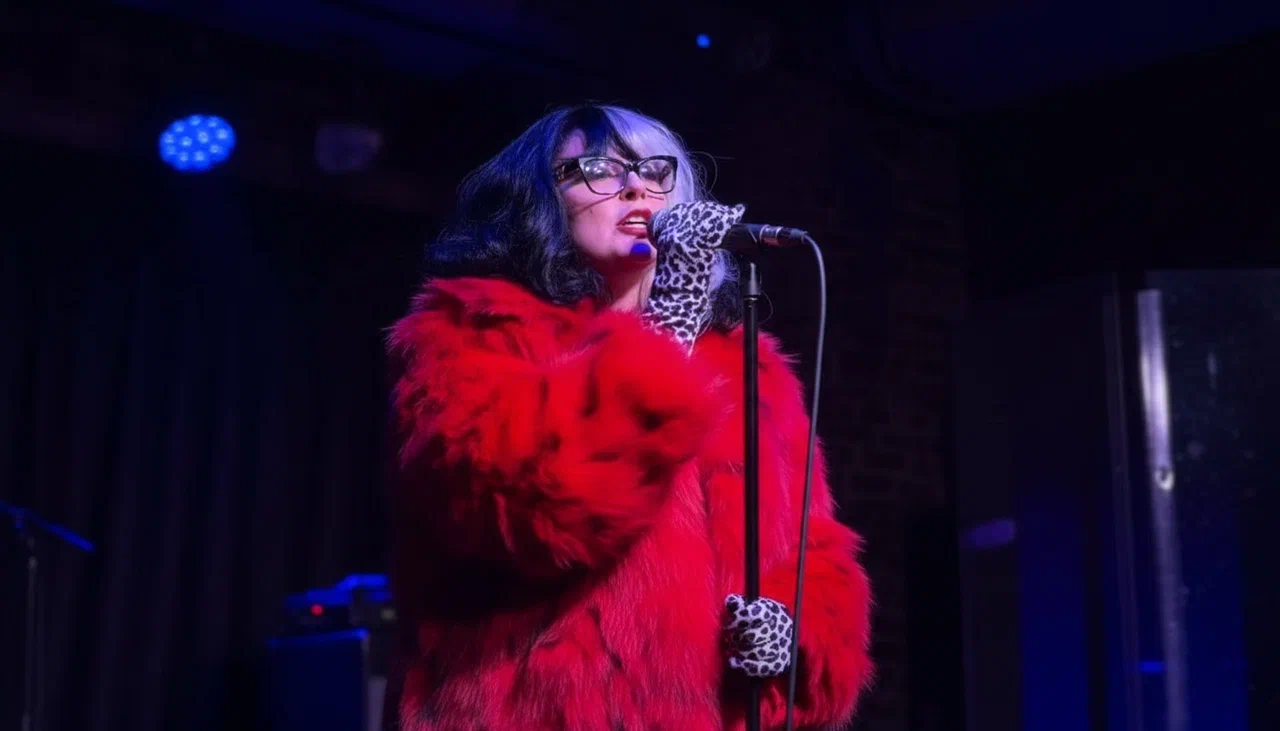 фотографии выступлений, костюмов и моментов взаимодействия с залом